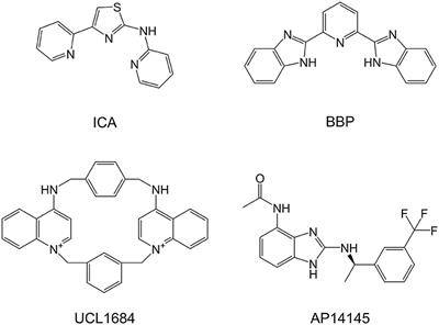 2,6-Bis(2-Benzimidazolyl)Pyridine (BBP) Is a Potent and Selective Inhibitor of Small Conductance Calcium-Activated Potassium (SK) Channels